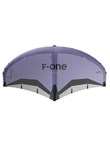Wing F-One Swing V5
